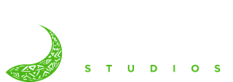Shacks Evolution Studios